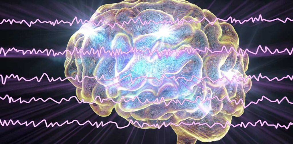 Capas cerebrales Aseia